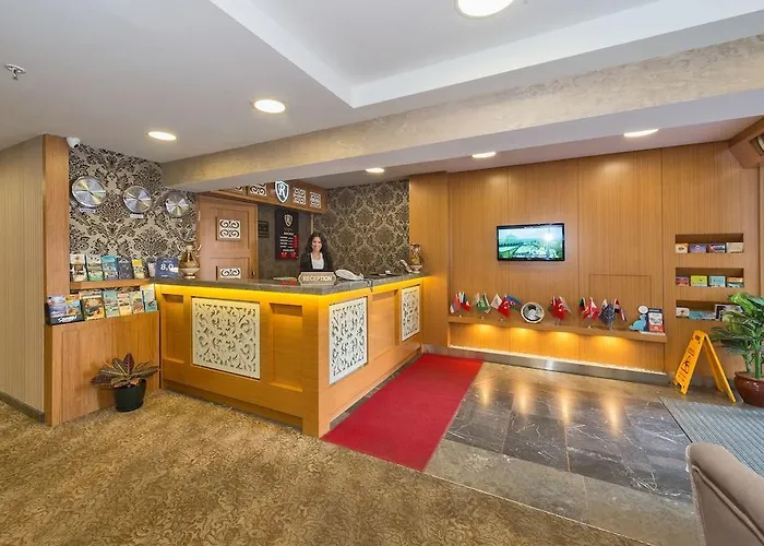 内葛诺酒店 伊斯坦布尔